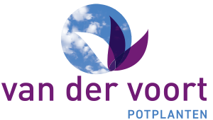Van der Voort Potplanten Logo